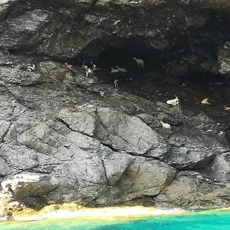 Дом отдыха Comfortable House In La Pila With Terrace And Parking *