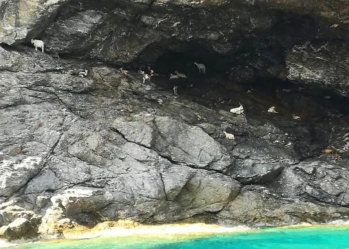 Semesterbostad Comfortable House In La Pila With Terrace And Parking *